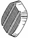 COPRIPEDALI
