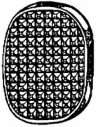 COPRIPEDALI